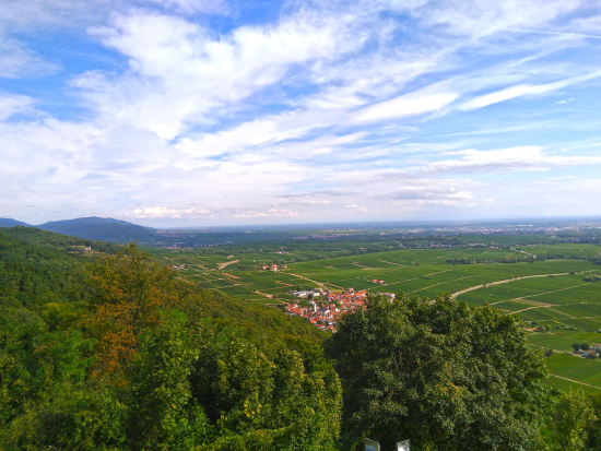 Auf dem Höhenweg zur Madenburg 2019